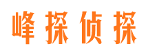 沿滩侦探